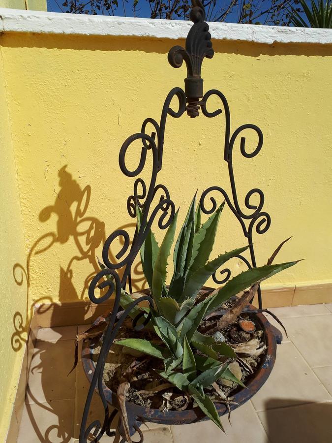 Chrysanthi Melitsa Apts. Prázdninový dům *