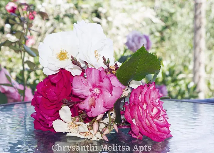 Chrysanthi Melitsa Apts.