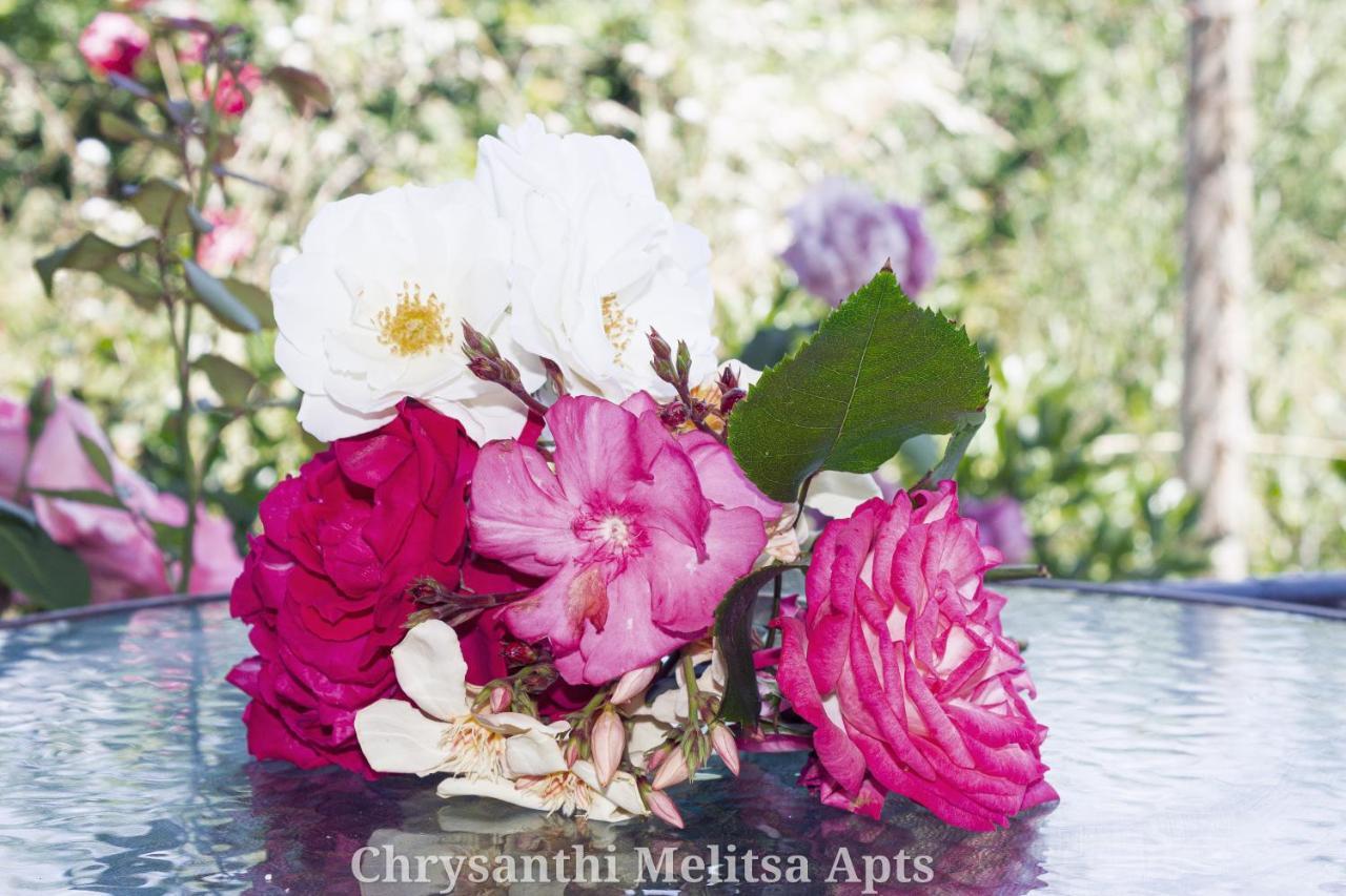 Chrysanthi Melitsa Apts. Hébergement de vacances *