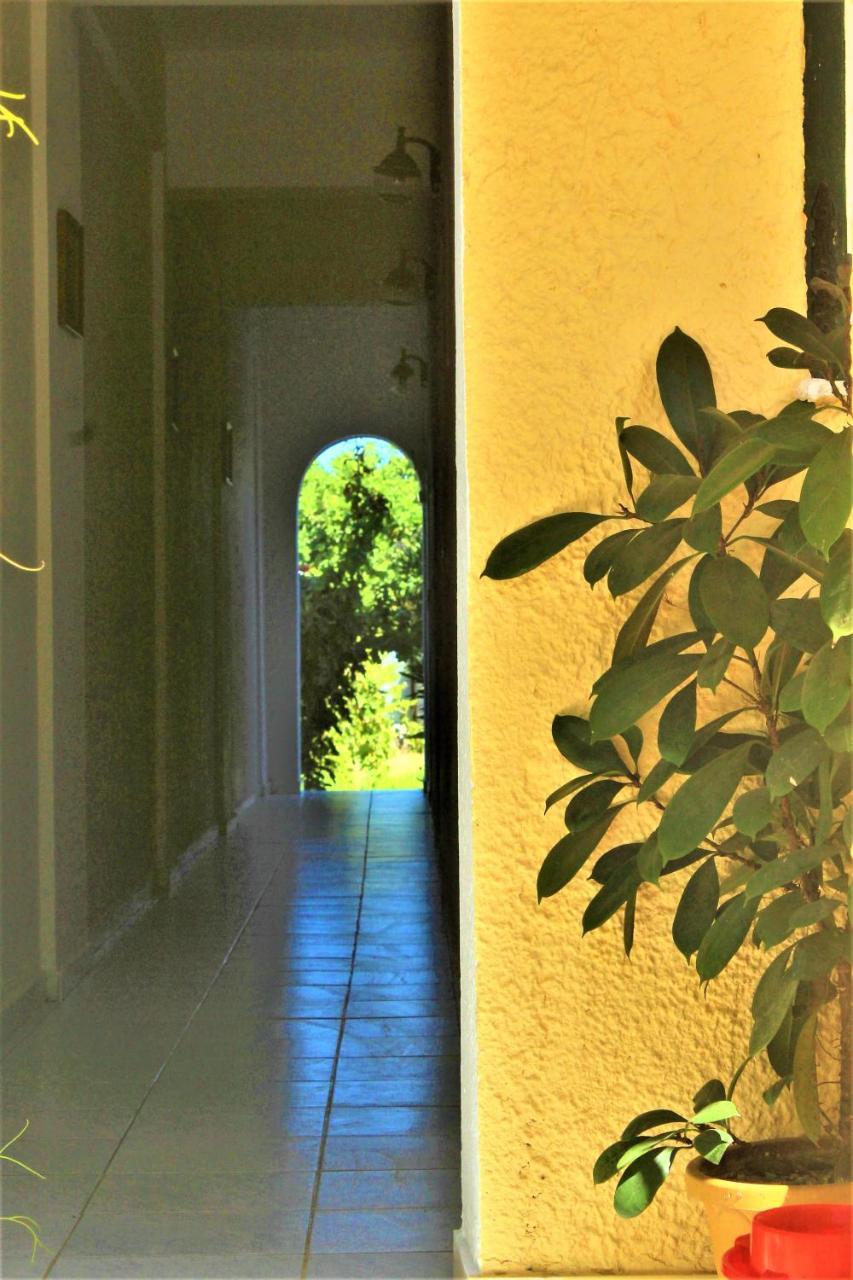 Chrysanthi Melitsa Apts. Hébergement de vacances *
